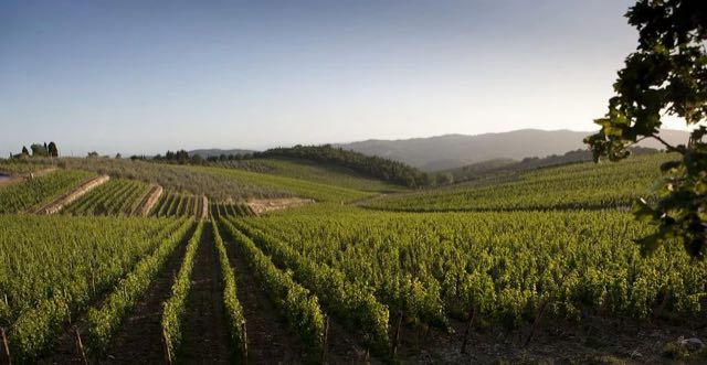 Chianti Classico Wine Tour